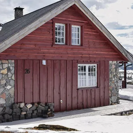 One-bedroom Holiday In Nissedal * Kyrkjebygdi